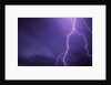 Lightning Bolts Above Colorado at Night by Anonymous