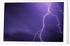 Lightning Bolts Above Colorado at Night by Anonymous