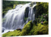 Proxy Falls in Oregon by Anonymous