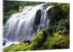 Proxy Falls in Oregon by Anonymous
