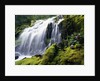 Proxy Falls in Oregon by Anonymous