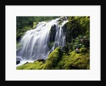 Proxy Falls in Oregon by Anonymous
