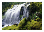 Proxy Falls in Oregon by Anonymous