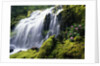 Proxy Falls in Oregon by Anonymous