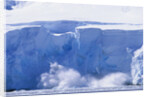 Glacier Calving Iceberg into Paradise Bay in Antarctica by Anonymous
