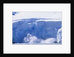 Glacier Calving Iceberg into Paradise Bay in Antarctica by Anonymous