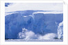 Glacier Calving Iceberg into Paradise Bay in Antarctica by Anonymous