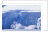 Glacier Calving Iceberg into Paradise Bay in Antarctica by Anonymous