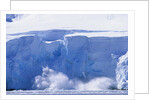 Glacier Calving Iceberg into Paradise Bay in Antarctica by Anonymous
