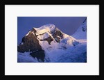 Glaciers on Mount Robson at Sunset by Anonymous