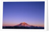 Western Face of Mount Rainier at Sunset by Anonymous