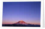 Western Face of Mount Rainier at Sunset by Anonymous