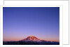 Western Face of Mount Rainier at Sunset by Anonymous