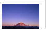 Western Face of Mount Rainier at Sunset by Anonymous