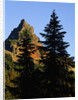 Pinnacle Peak in Mount Rainier National Park by Anonymous