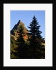 Pinnacle Peak in Mount Rainier National Park by Anonymous