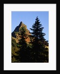 Pinnacle Peak in Mount Rainier National Park by Anonymous