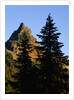 Pinnacle Peak in Mount Rainier National Park by Anonymous