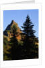 Pinnacle Peak in Mount Rainier National Park by Anonymous