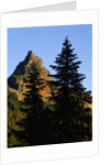 Pinnacle Peak in Mount Rainier National Park by Anonymous