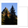 Pinnacle Peak in Mount Rainier National Park by Anonymous