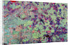 Orbital Radar Image of Russian Space Facility by Anonymous
