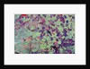 Orbital Radar Image of Russian Space Facility by Anonymous