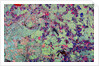 Orbital Radar Image of Russian Space Facility by Anonymous