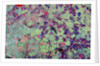 Orbital Radar Image of Russian Space Facility by Anonymous