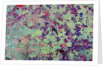Orbital Radar Image of Russian Space Facility by Anonymous