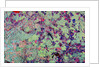 Orbital Radar Image of Russian Space Facility by Anonymous