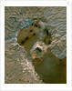 Orbital Radar View of Sakurajima Volcano by Anonymous