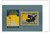 Woman Suffrage Brochure and Stamp by Anonymous