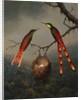 Two Hummingbirds Guarding an Egg Nest by Martin Johnson Heade