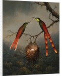 Two Hummingbirds Guarding an Egg Nest by Martin Johnson Heade