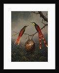 Two Hummingbirds Guarding an Egg Nest by Martin Johnson Heade