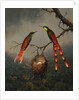 Two Hummingbirds Guarding an Egg Nest by Martin Johnson Heade