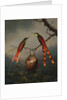 Two Hummingbirds Guarding an Egg Nest by Martin Johnson Heade