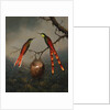 Two Hummingbirds Guarding an Egg Nest by Martin Johnson Heade