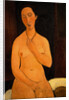 Seated Nude with Necklace by Amedeo Modigliani