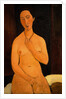 Seated Nude with Necklace by Amedeo Modigliani