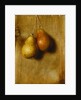 Hanging Pears by Stanley S. David