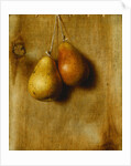 Hanging Pears by Stanley S. David