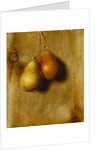 Hanging Pears by Stanley S. David