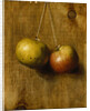 Hanging Apples by Stanley S. David