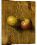 Hanging Apples by Stanley S. David
