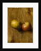 Hanging Apples by Stanley S. David