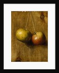Hanging Apples by Stanley S. David