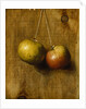 Hanging Apples by Stanley S. David