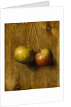 Hanging Apples by Stanley S. David